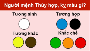mau-rem-cho-nguoi-menh-thuy