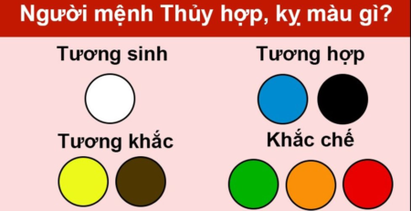 mau-rem-cho-nguoi-menh-thuy
